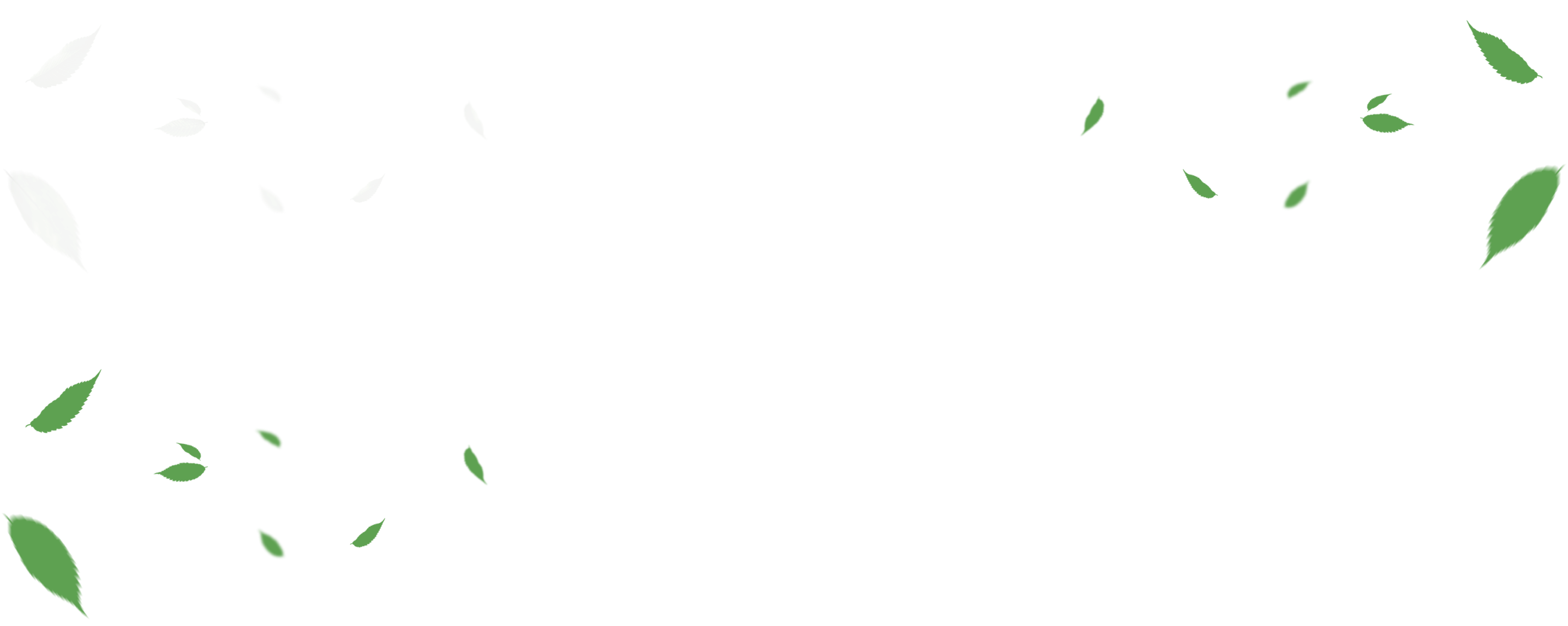 falling leaves slider background