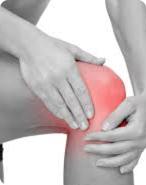 График работы на День Конституции