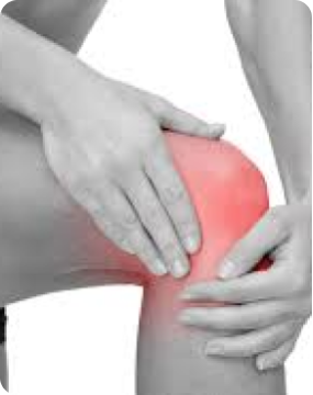 График работы на День Конституции