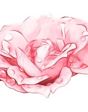 График работы на Рождество