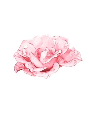 График работы на Рождество