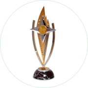 Визнання року 2009